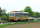 NÖVOG VT8 60  Jahre Diesellok 2095 (15)